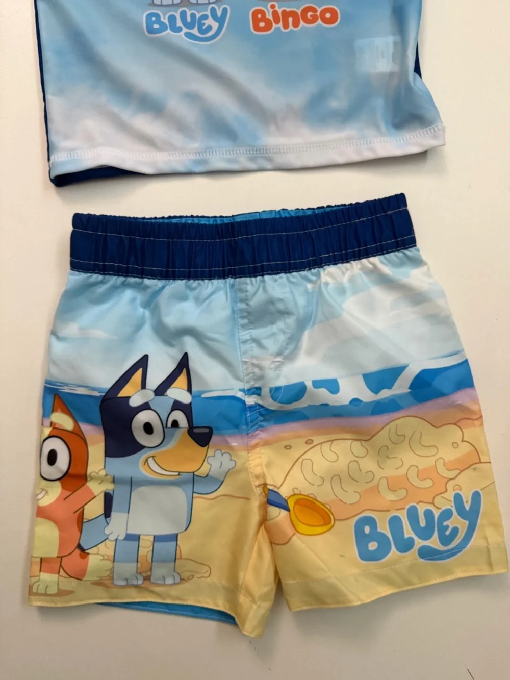 Bluey Rash Guard Swim Shorts Top 50+ UPF Travel Beach Pool Set 2 Kids 18 Month